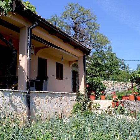 Holiday Home Gazevic Virpazar Eksteriør bilde