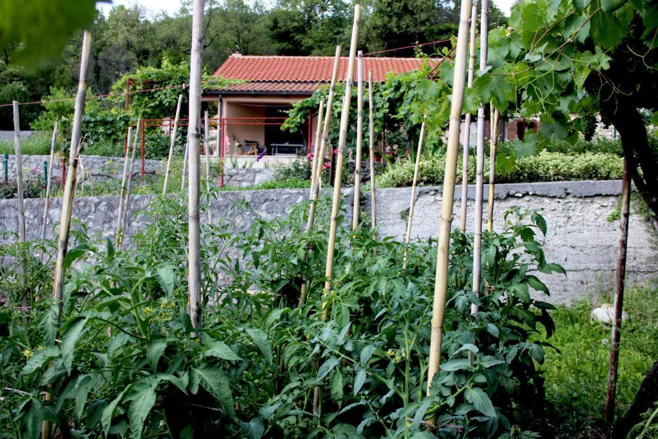 Holiday Home Gazevic Virpazar Eksteriør bilde